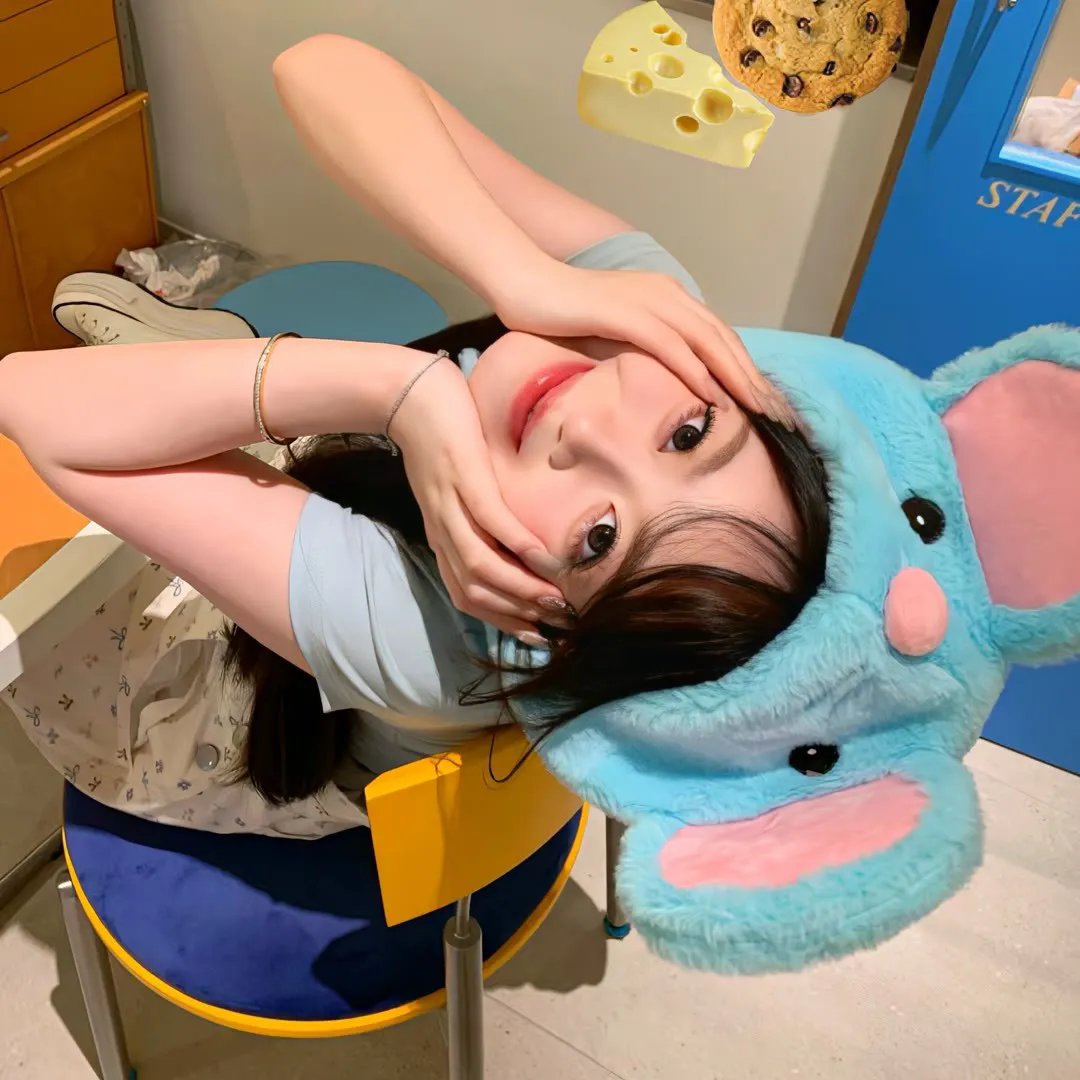动物出击